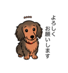 名前入りダックスシェーデッドレッド（個別スタンプ：4）