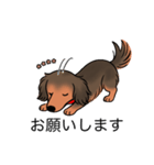 名前入りダックスシェーデッドレッド（個別スタンプ：7）