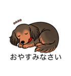 名前入りダックスシェーデッドレッド（個別スタンプ：9）