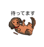 名前入りダックスシェーデッドレッド（個別スタンプ：10）