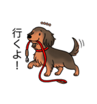 名前入りダックスシェーデッドレッド（個別スタンプ：11）