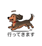 名前入りダックスシェーデッドレッド（個別スタンプ：13）