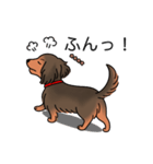 名前入りダックスシェーデッドレッド（個別スタンプ：14）