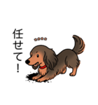 名前入りダックスシェーデッドレッド（個別スタンプ：15）