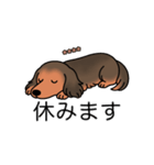 名前入りダックスシェーデッドレッド（個別スタンプ：16）