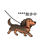 名前入りダックスシェーデッドレッド（個別スタンプ：17）