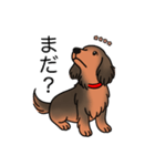 名前入りダックスシェーデッドレッド（個別スタンプ：20）