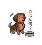 名前入りダックスシェーデッドレッド（個別スタンプ：24）