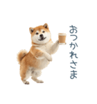 家族連絡しば犬【日常会話・かわいい】（個別スタンプ：4）
