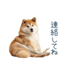 家族連絡しば犬【日常会話・かわいい】（個別スタンプ：6）