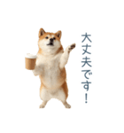 家族連絡しば犬【日常会話・かわいい】（個別スタンプ：10）