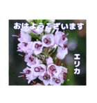 真夏の山野草で 日々のご挨拶（個別スタンプ：10）