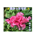 真夏の山野草で 日々のご挨拶（個別スタンプ：36）
