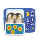▶とびだす癒しペンギンの「夏」の毎日（個別スタンプ：8）