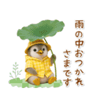 ▶とびだす癒しペンギンの「夏」の毎日（個別スタンプ：23）