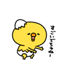 まいにちひよっこ上から目線（個別スタンプ：8）