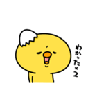 まいにちひよっこ上から目線（個別スタンプ：34）
