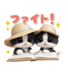 気軽に使える 可愛いハチワレ猫 麦わら帽（個別スタンプ：27）