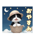 気軽に使える 可愛いハチワレ猫 麦わら帽（個別スタンプ：32）