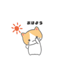 もっちり可愛いクリームハチワレねこちゃん（個別スタンプ：1）