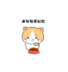 もっちり可愛いクリームハチワレねこちゃん（個別スタンプ：7）