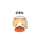 もっちり可愛いクリームハチワレねこちゃん（個別スタンプ：8）