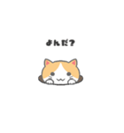 もっちり可愛いクリームハチワレねこちゃん（個別スタンプ：10）