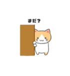 もっちり可愛いクリームハチワレねこちゃん（個別スタンプ：11）