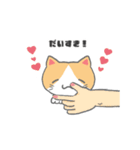 もっちり可愛いクリームハチワレねこちゃん（個別スタンプ：12）