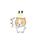 もっちり可愛いクリームハチワレねこちゃん（個別スタンプ：14）