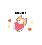 もっちり可愛いクリームハチワレねこちゃん（個別スタンプ：16）