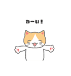 もっちり可愛いクリームハチワレねこちゃん（個別スタンプ：17）