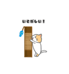 もっちり可愛いクリームハチワレねこちゃん（個別スタンプ：18）