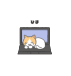 もっちり可愛いクリームハチワレねこちゃん（個別スタンプ：19）