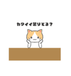 もっちり可愛いクリームハチワレねこちゃん（個別スタンプ：24）