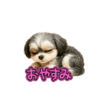 チワマルのメイちゃん2（個別スタンプ：5）