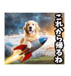リアル☆ゴールデンレトリバー（個別スタンプ：10）