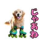リアル☆ゴールデンレトリバー（個別スタンプ：12）