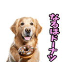 リアル☆ゴールデンレトリバー（個別スタンプ：22）
