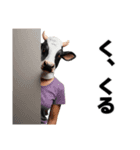 にょっす界隈牛スタンプだにょ（個別スタンプ：6）