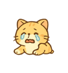 やんちゃトラネコの表情集（個別スタンプ：11）