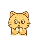やんちゃトラネコの表情集（個別スタンプ：16）