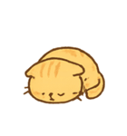 やんちゃトラネコの表情集（個別スタンプ：17）