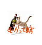 お酒とネコ好きな日常会話52（個別スタンプ：4）