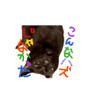 お酒とネコ好きな日常会話52（個別スタンプ：5）