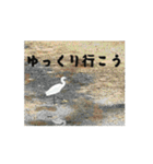 【一息つこうぜ】動物スタンプ！（個別スタンプ：1）