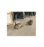 【一息つこうぜ】動物スタンプ！（個別スタンプ：3）