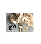 【一息つこうぜ】動物スタンプ！（個別スタンプ：12）