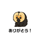 ワイがシロガオサキや（個別スタンプ：1）
