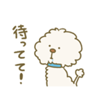 毛量が多いトイプードル（個別スタンプ：2）